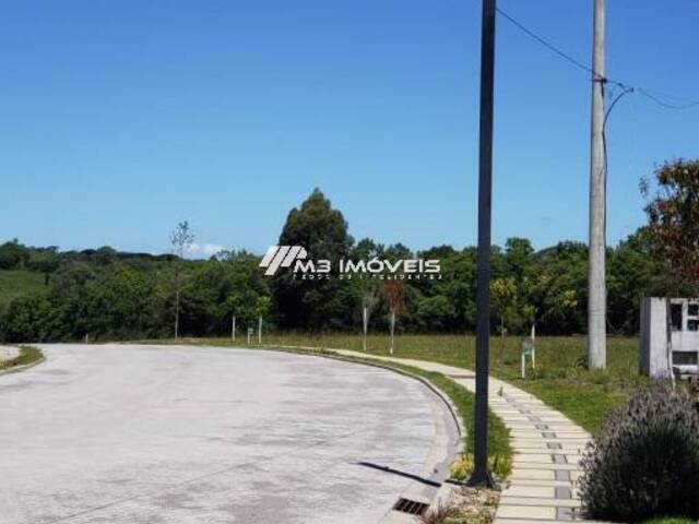 #TE1017 - Área para Venda em Caxias do Sul - RS - 3