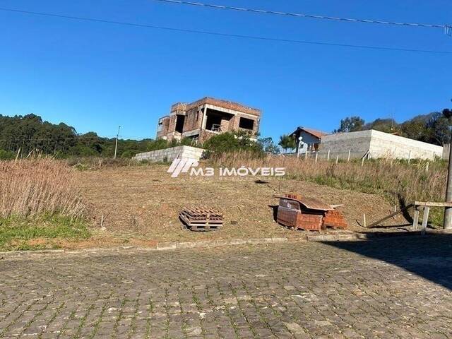 #TE1342 - Área para Venda em Caxias do Sul - RS - 3