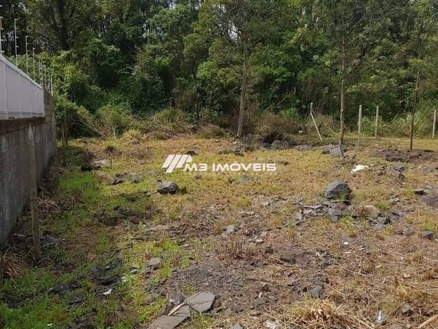 Área para Venda em Caxias do Sul - 4