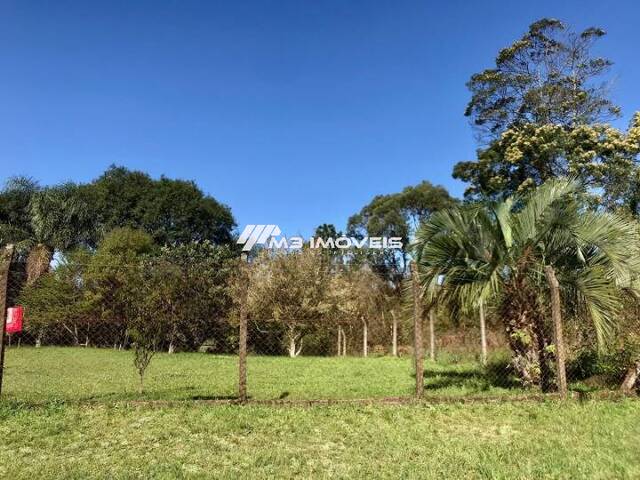 #TE1794 - Terreno para Venda em Caxias do Sul - RS - 1