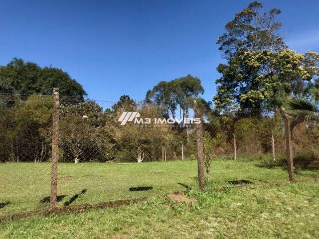 #TE1794 - Terreno para Venda em Caxias do Sul - RS - 2