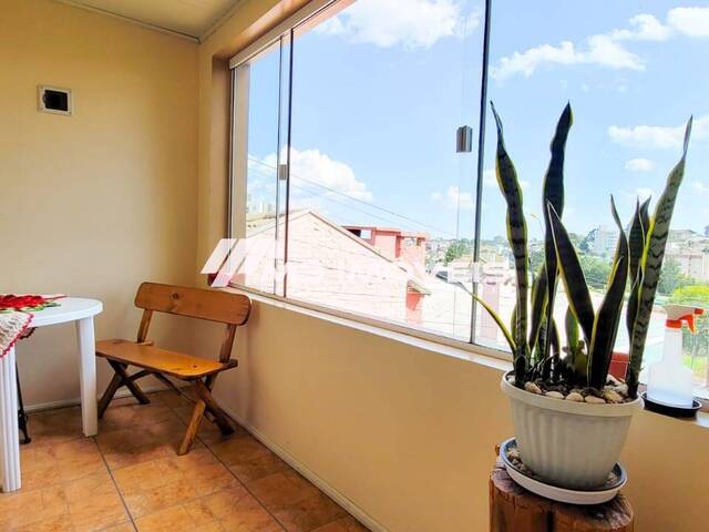 Casa para Venda em Caxias do Sul - 5