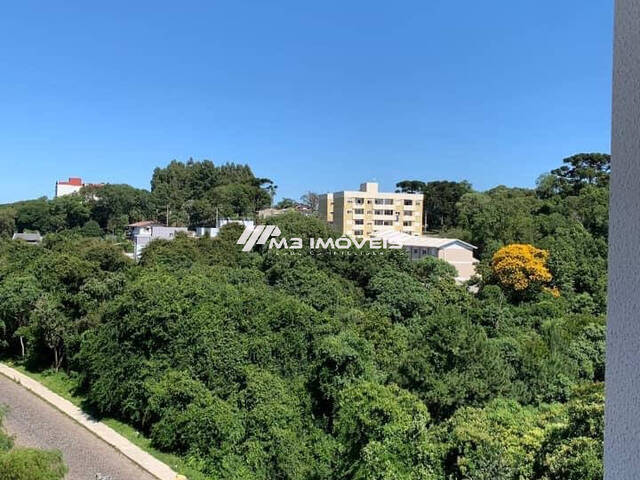 Apartamento para Venda em Caxias do Sul - 5