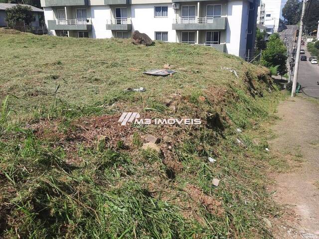Terreno para Venda em Caxias do Sul - 5