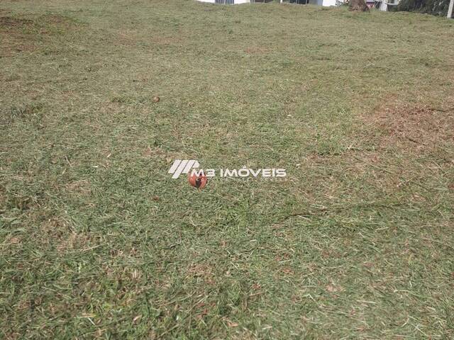 Terreno para Venda em Caxias do Sul - 4