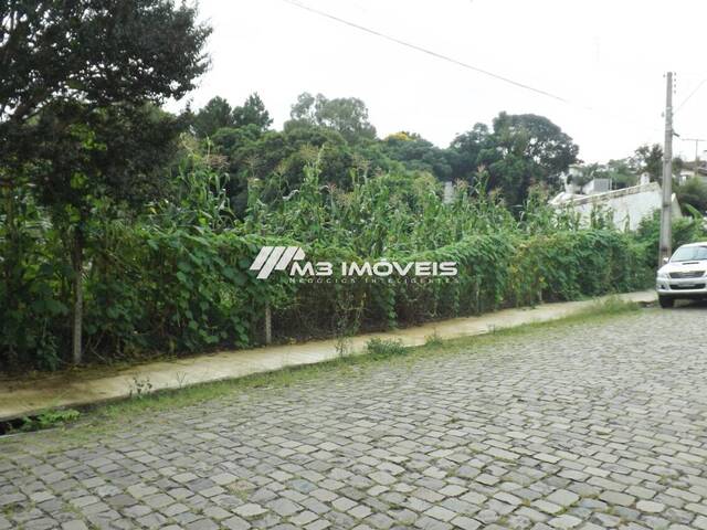 Terreno para Venda em Caxias do Sul - 4