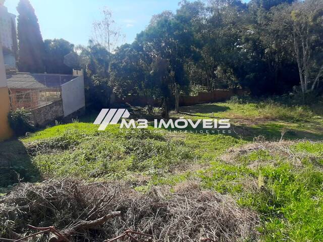 #TR2165 - Terreno para Venda em Caxias do Sul - RS - 1
