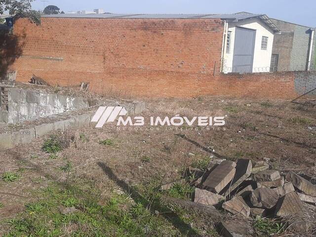 #TR2176 - Área para Venda em Caxias do Sul - RS - 3