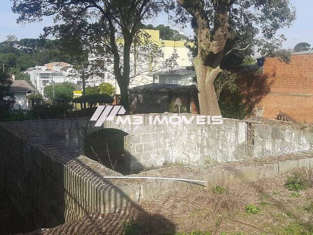 Área para Venda em Caxias do Sul - 5
