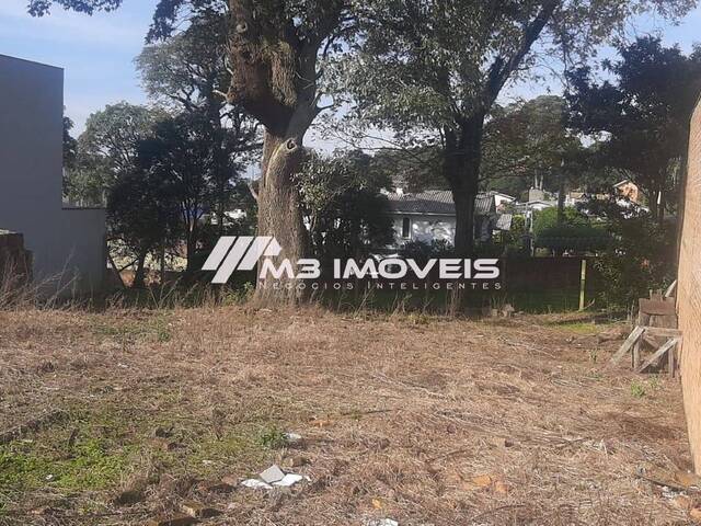 #TR2176 - Área para Venda em Caxias do Sul - RS - 1
