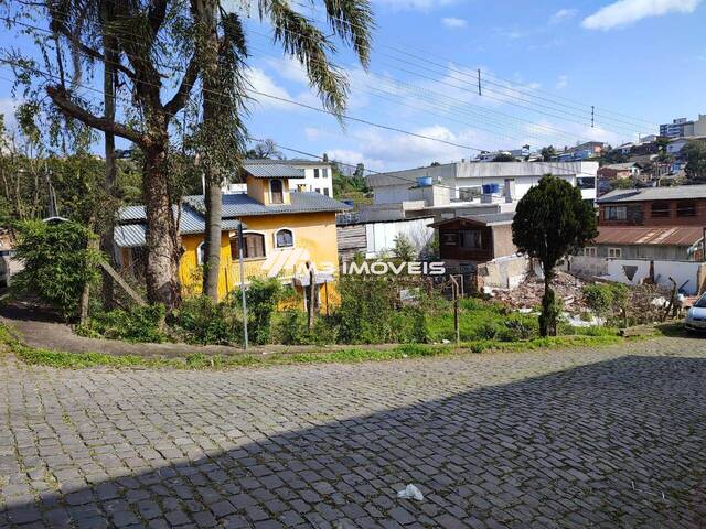 #TR2181 - Área para Venda em Caxias do Sul - RS - 1