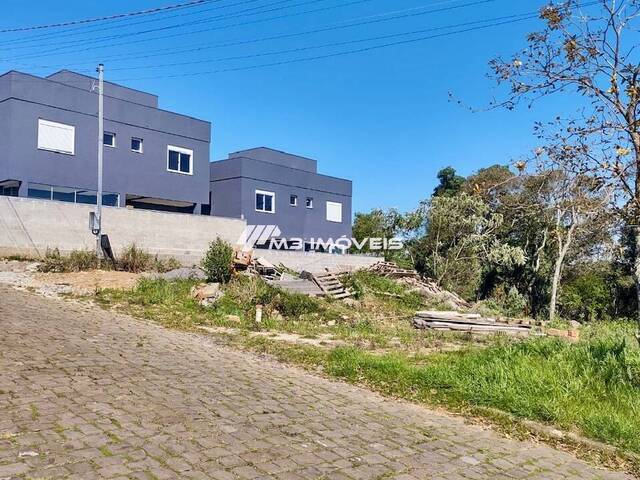 #TR2182 - Área para Venda em Caxias do Sul - RS - 1