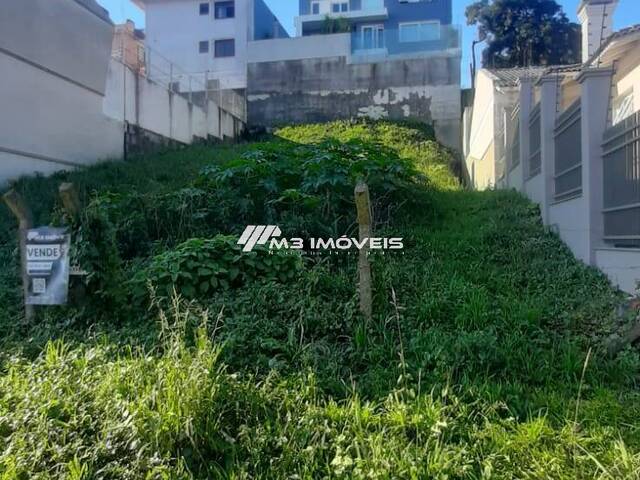 Terreno para Venda em Caxias do Sul - 4