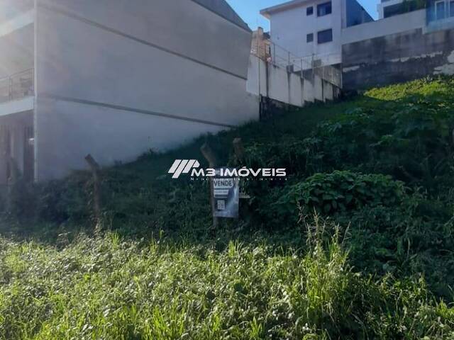 #TR2205 - Terreno para Venda em Caxias do Sul - RS - 3