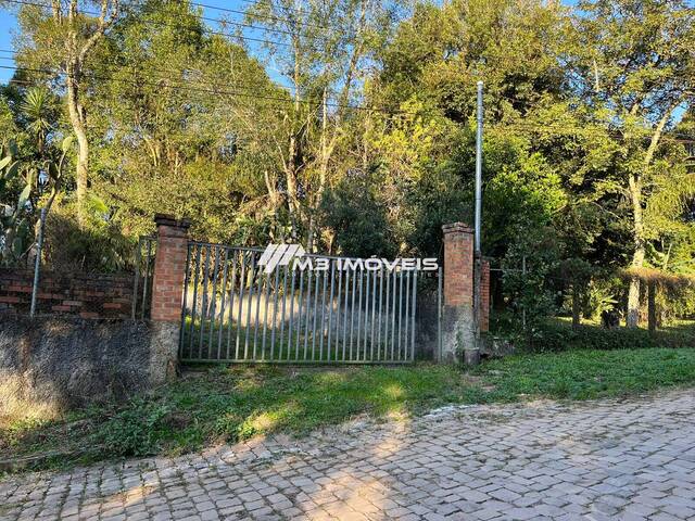 #CH2216 - Chácara para Venda em Caxias do Sul - RS - 3