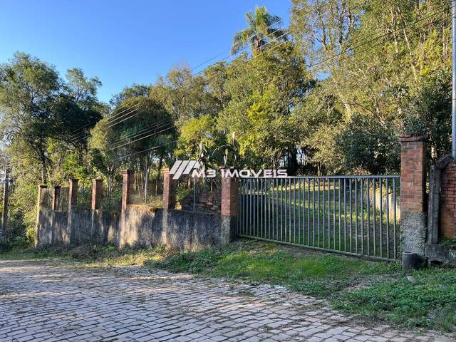 Chácara para Venda em Caxias do Sul - 4