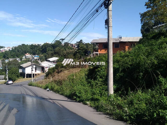 #TE2218 - Área para Venda em Caxias do Sul - RS - 2