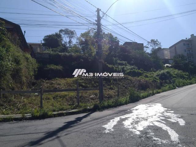 #TE2218 - Área para Venda em Caxias do Sul - RS - 3