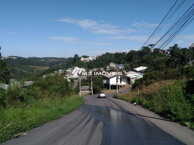 Área para Venda em Caxias do Sul - 5