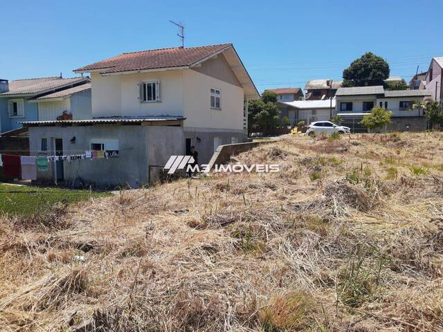 Área para Venda em Farroupilha - 4