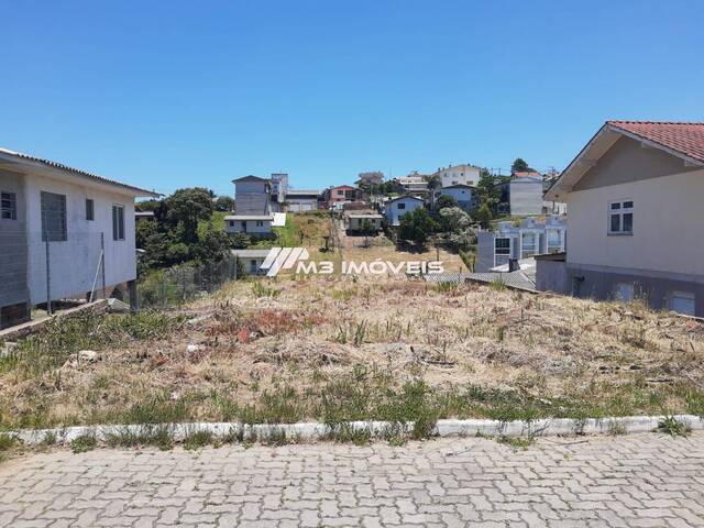 #TE2219 - Área para Venda em Farroupilha - RS - 1