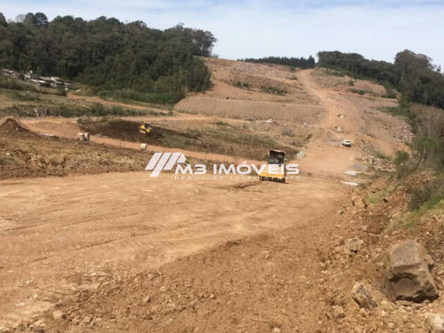 #TR2231 - Área para Venda em Caxias do Sul - RS - 2