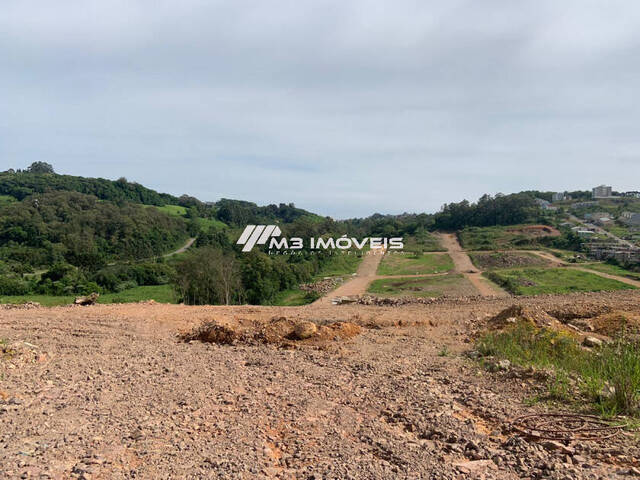 #TR2231 - Área para Venda em Caxias do Sul - RS - 3