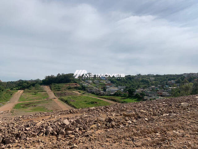 Área para Venda em Caxias do Sul - 5