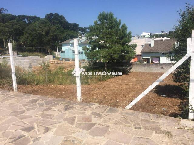 #TR2244 - Área para Venda em Caxias do Sul - RS - 1
