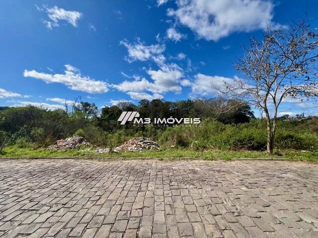 #TR2153 - Área para Venda em Caxias do Sul - RS - 1