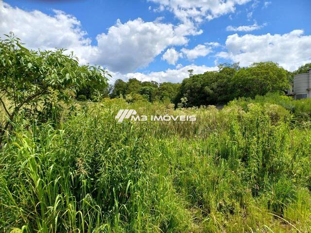 #TR2388 - Área para Venda em Caxias do Sul - RS - 1