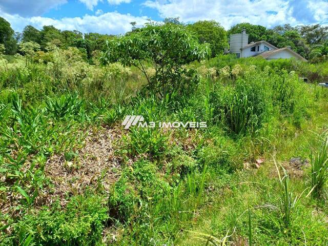 #TR2388 - Área para Venda em Caxias do Sul - RS - 3