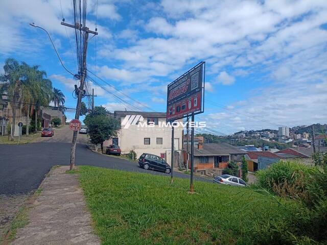 Área para Venda em Caxias do Sul - 3