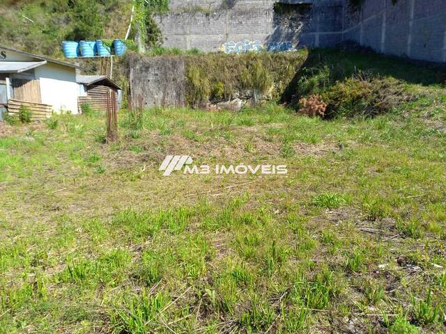 #TR2403 - Terreno para Venda em Caxias do Sul - RS - 2