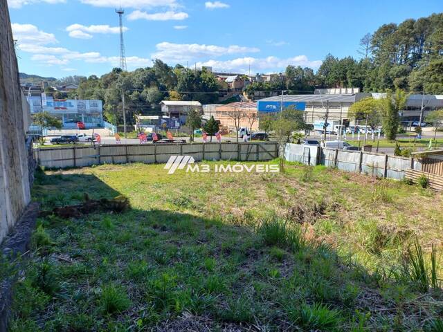 #TR2403 - Terreno para Venda em Caxias do Sul - RS - 1