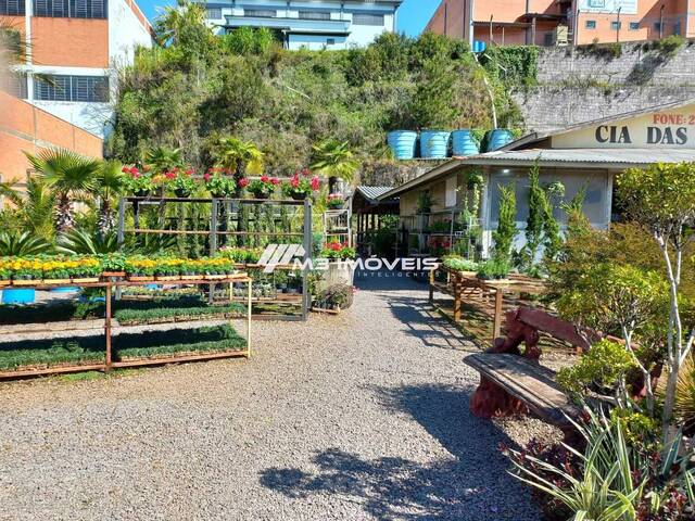 #TR2402 - Terreno para Venda em Caxias do Sul - RS - 3
