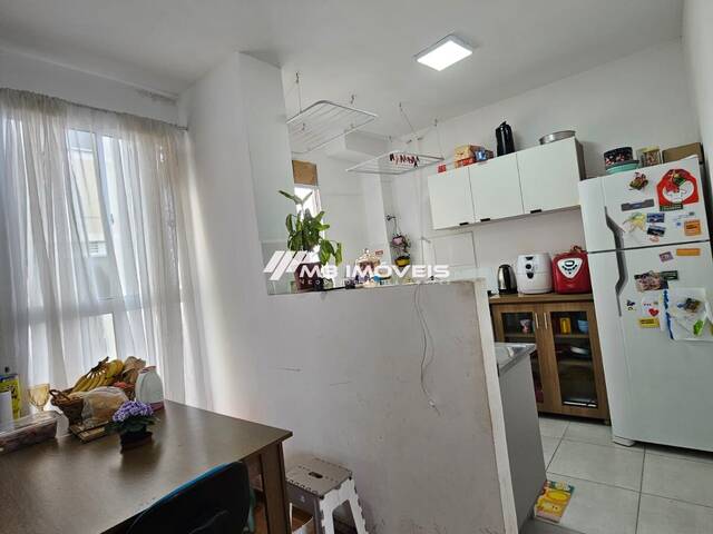 Apartamento para Venda em Caxias do Sul - 5