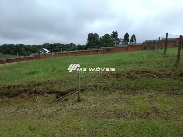 #TR0776 - Terreno para Venda em Caxias do Sul - RS - 1